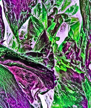 AP 30E1